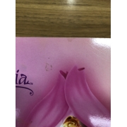 Barbie: นิทานบาร์บี้ นางฟ้าในโลกแห่งความฝัน Fairytopia **รบกวนเลื่อนดูสภาพหนังสือก่อนการสั่งซื้อ** 